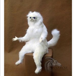 Meet your Posher, Tamikah